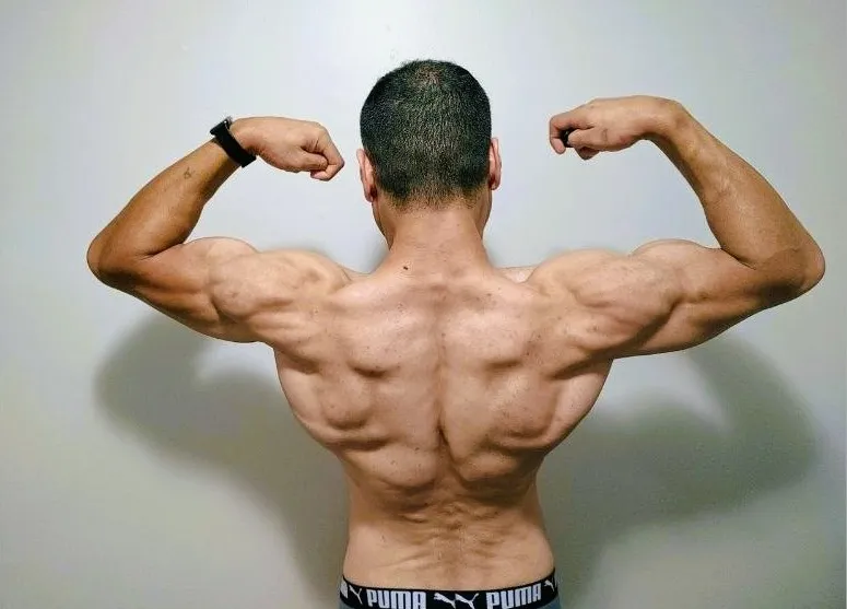 Physique, back.